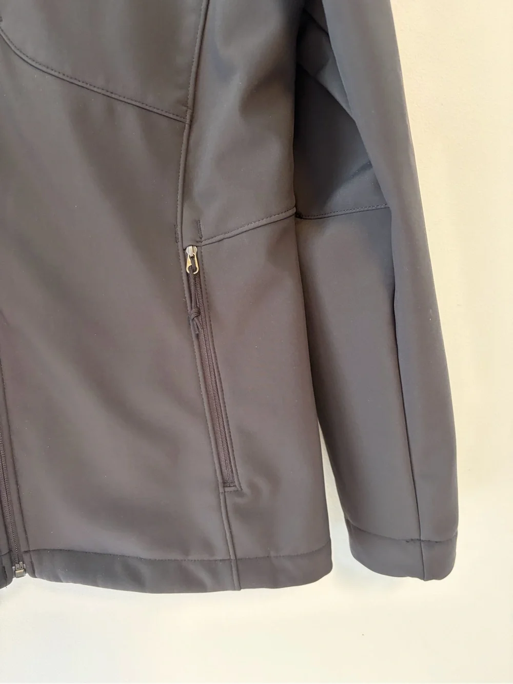 The North Face Jacket Womens Large Black WindWall Softshell Hooded Fleece Lined